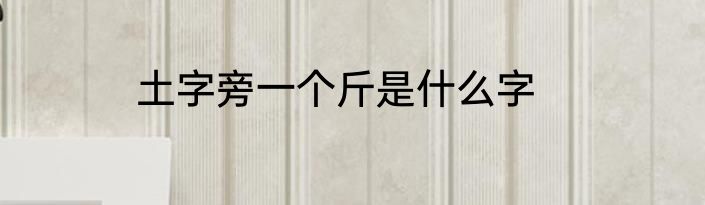 土字旁一个斤是什么字