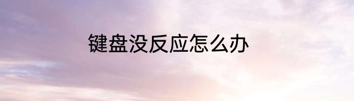 键盘没反应怎么办
