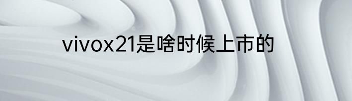 vivox21是啥时候上市的