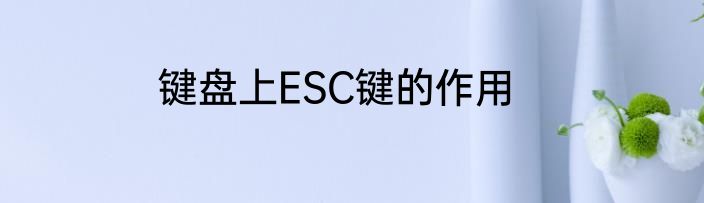 键盘上ESC键的作用