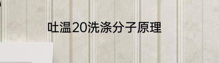 吐温20洗涤分子原理