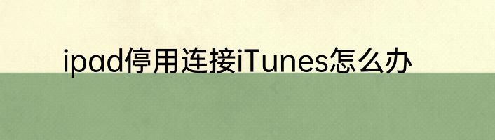 ipad停用连接iTunes怎么办