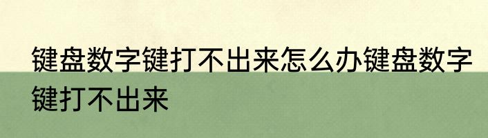 键盘数字键打不出来怎么办键盘数字键打不出来