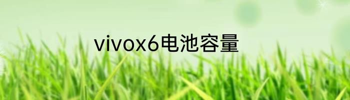 vivox6电池容量