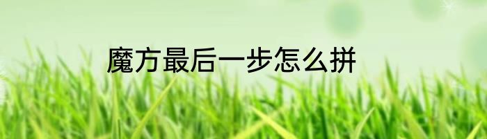 魔方最后一步怎么拼