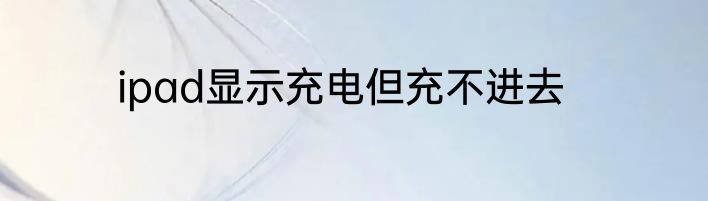 ipad显示充电但充不进去