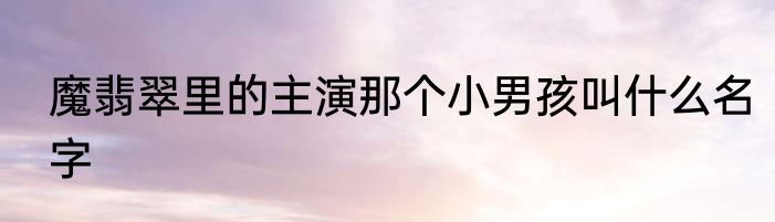魔翡翠里的主演那个小男孩叫什么名字