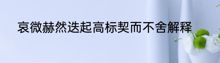 哀微赫然迭起高标契而不舍解释