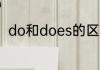 do和does的区别和用法有就近原则