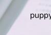 puppy是什么意思