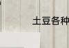 土豆各种好吃小吃做法