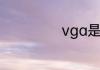 vga是什么意思啊