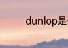 dunlop是什么牌子的轮胎