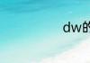 dw的全称是什
