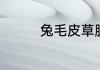 兔毛皮草脏了清洗的方法