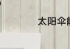 太阳伞能当雨伞用吗
