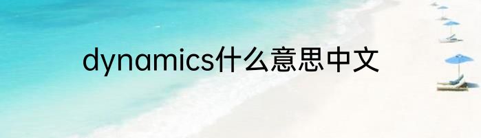 dynamics什么意思中文
