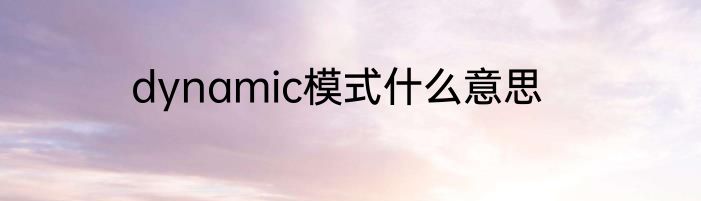 dynamic模式什么意思