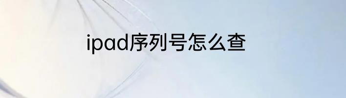 ipad序列号怎么查