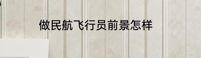 做民航飞行员前景怎样