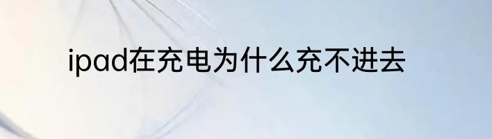 ipad在充电为什么充不进去