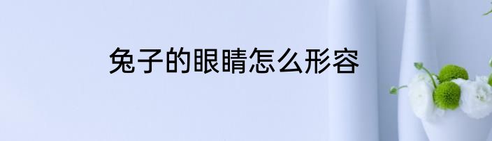 兔子的眼睛怎么形容