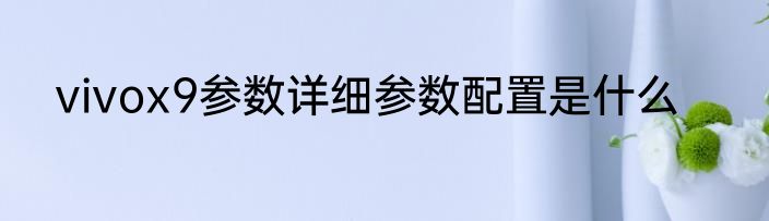 vivox9参数详细参数配置是什么