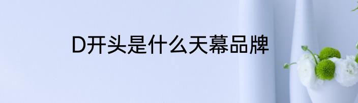 D开头是什么天幕品牌