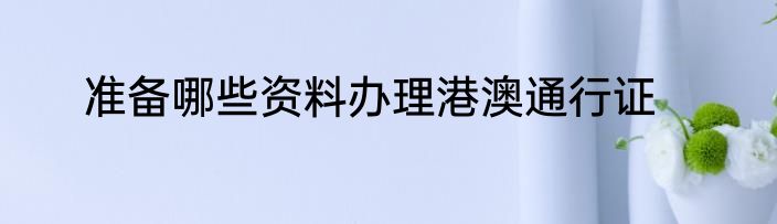 准备哪些资料办理港澳通行证
