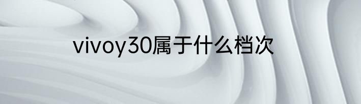 vivoy30属于什么档次