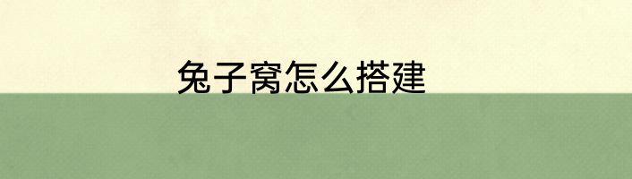 兔子窝怎么搭建