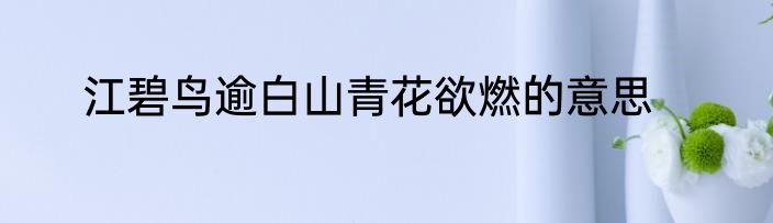 江碧鸟逾白山青花欲燃的意思