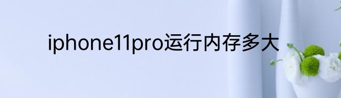 iphone11pro运行内存多大