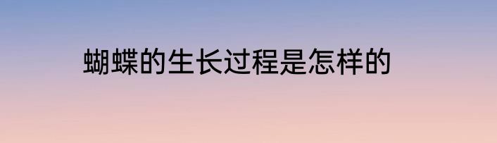 蝴蝶的生长过程是怎样的