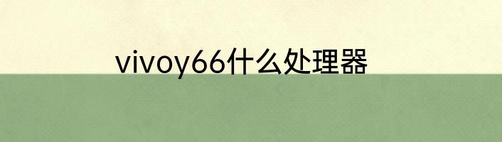 vivoy66什么处理器