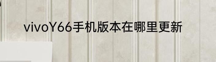 vivoY66手机版本在哪里更新