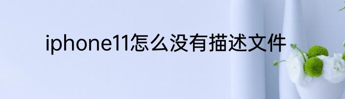iphone11怎么没有描述文件