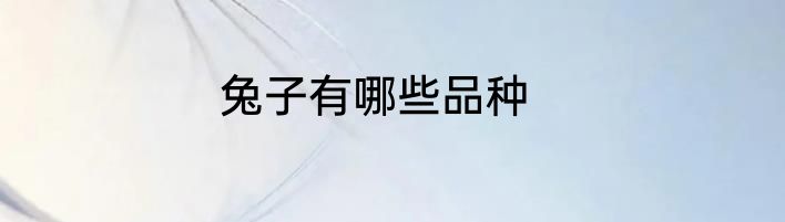 兔子有哪些品种