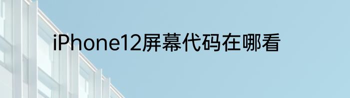 iPhone12屏幕代码在哪看