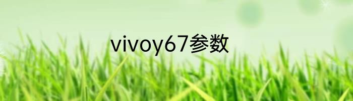 vivoy67参数