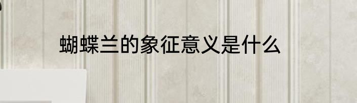 蝴蝶兰的象征意义是什么