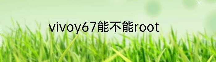 vivoy67能不能root