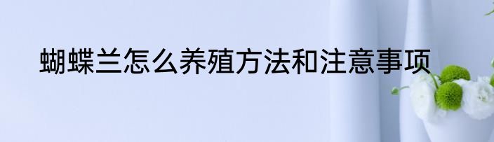 蝴蝶兰怎么养殖方法和注意事项