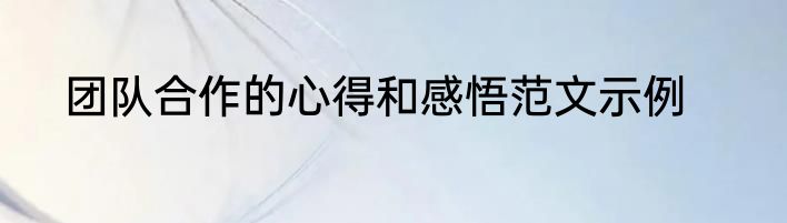 团队合作的心得和感悟范文示例
