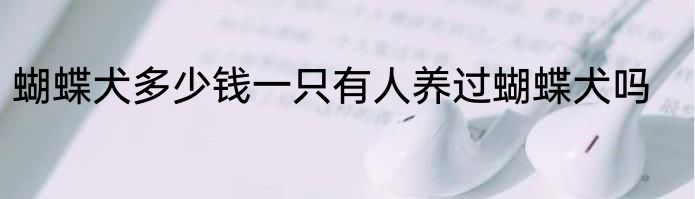 蝴蝶犬多少钱一只有人养过蝴蝶犬吗