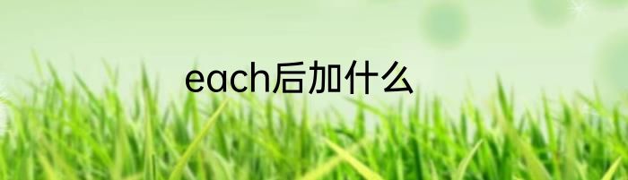 each后加什么