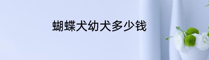 蝴蝶犬幼犬多少钱