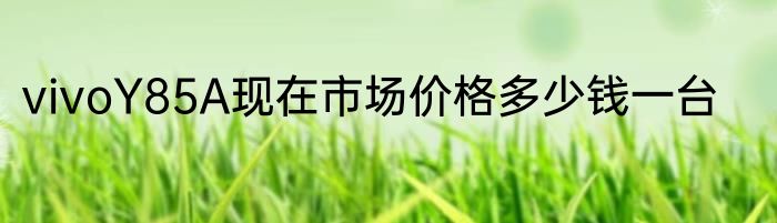 vivoY85A现在市场价格多少钱一台