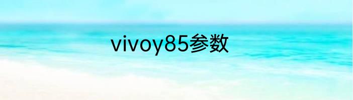 vivoy85参数