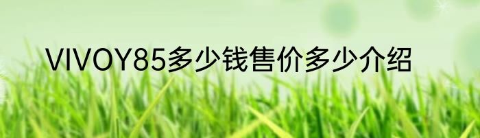 VIVOY85多少钱售价多少介绍